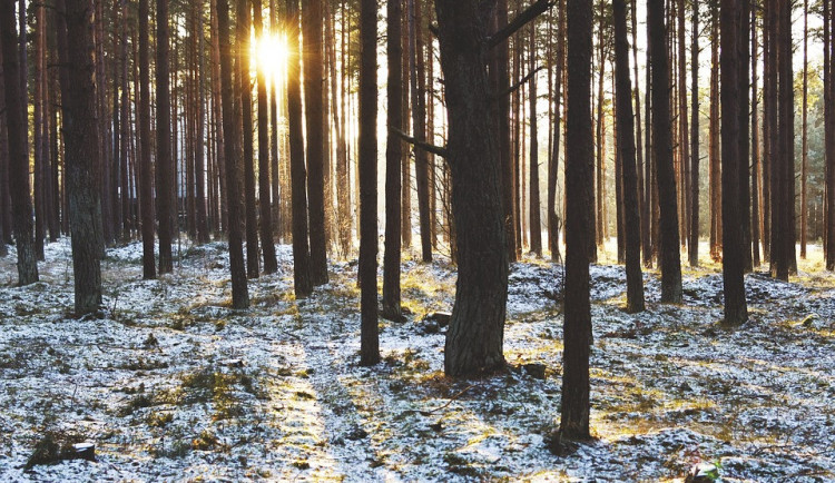 Na Silvestra bude nad nulou, ochlazení jako před 40 lety nepřijde