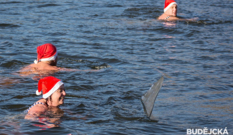 Otužilci se na Silvestra z náplavky přesunou na slepé rameno Malše