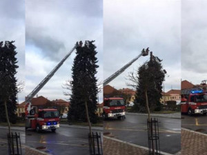 Silné nárazy větru poškodily vánoční strom, který zdobil náměstí v Netolicích