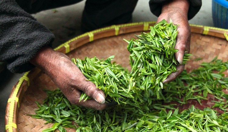 Ilustrační fotografie