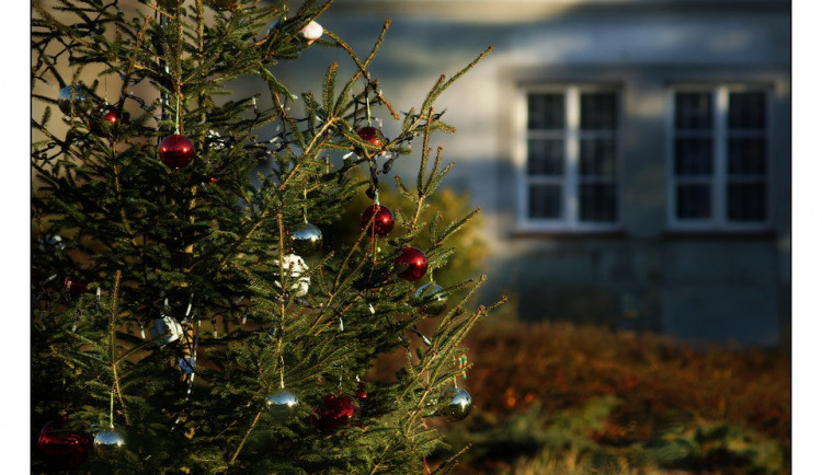 V Čížové si o víkendu můžete hodit vánočním stromkem