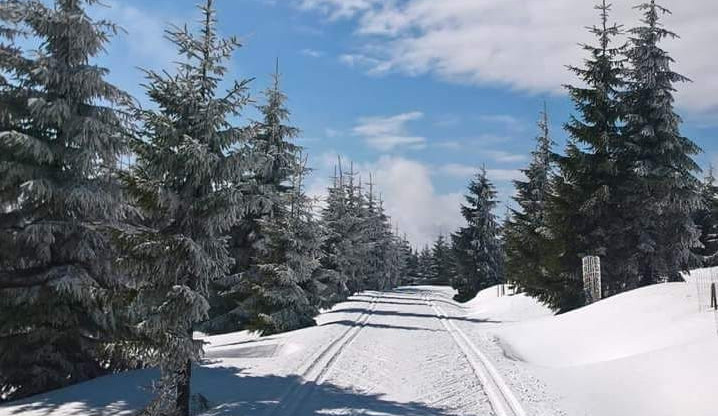 Zima přeje běžkařům