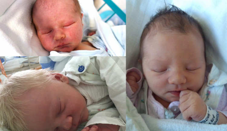 Koláž Drbňátek listopadu