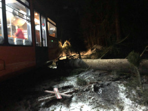 U Malenic na Strakonicku narazil vlak do stromu. Nehoda se obešla bez zranění