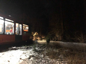 U Malenic na Strakonicku narazil vlak do stromu. Nikdo není zraněn