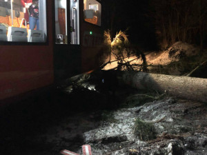 U Malenic na Strakonicku narazil vlak do stromu. Nikdo není zraněn