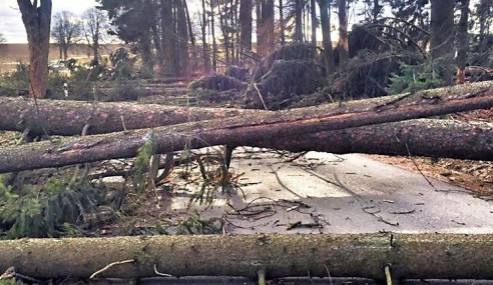 Na některých místech mužou padat stromy
