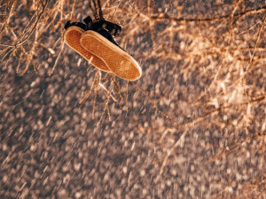 Budějce okem instagramerů. Foto: Honza Krejčí