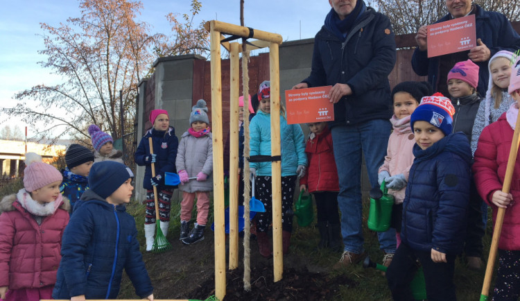 V minulých letech za pomoci Nadace ČEZ obnovili alej loni například v Hluboké nad Vltavou