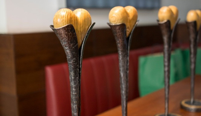 Anketa Statečné psí srdce