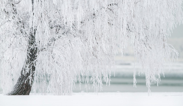 Počasí do konce ledna? Čekají nás celodenní mrazy
