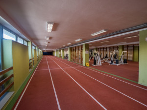 Situace kolem sportovní haly může prodloužit přípravnou fázi, ale nemůže ohrozit výstavbu nového centra. To alespoň tvrdí náměstek primátora Petr Holický.