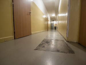 Situace kolem sportovní haly může prodloužit přípravnou fázi, ale nemůže ohrozit výstavbu nového centra. To alespoň tvrdí náměstek primátora Petr Holický.