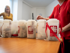 Českobudějovická charita získala v Tříkrálové sbírce 7,5 milionu korun