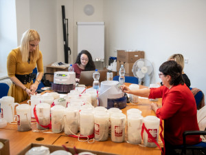 Českobudějovická charita získala v Tříkrálové sbírce 7,5 milionu korun