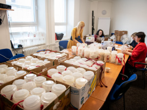 Českobudějovická charita získala v Tříkrálové sbírce 7,5 milionu korun