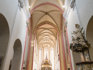 Vědci objevili v Budějcích ostatky zpovědníka Jindřicha Libraria