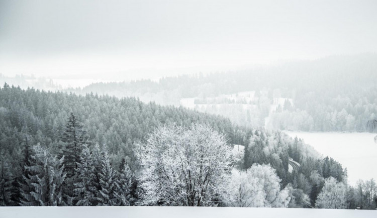 V neděli v Čechách hustě nasněží. Na Šumavě může napadnou až 25 centimetrů sněhu