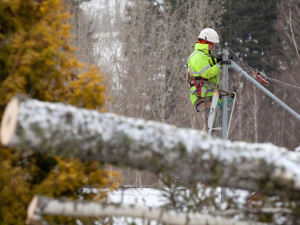 Počasí na jihu Čech zaměstnává hasiče i energetiky. Bez proudu je zhruba 13 tisíc domácností