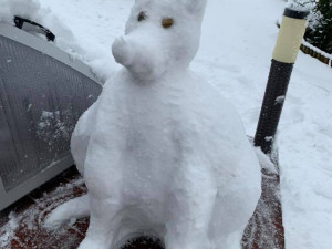 Když Jihočeši staví sněhuláky. Fantazii se meze nekladou