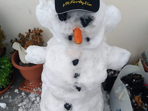 Když Jihočeši staví sněhuláky. Fantazii se meze nekladou