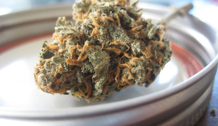 Za prodej drogy, hrozí muži až deset let ve vězení 