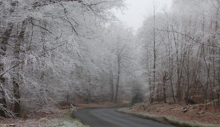 Ilustrační fotografie