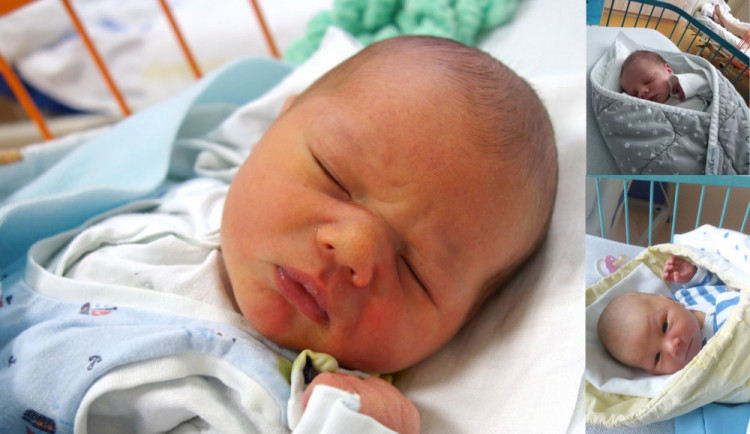 Koláž drbňátek za prosince