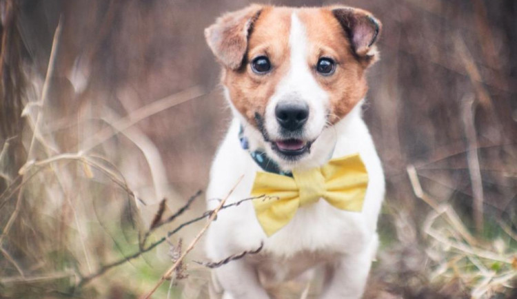 VIDEO: Tony Stark se vrací na filmová plátna! Najdeme mu nového parťáka?