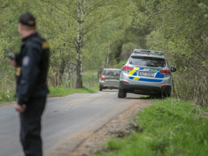Do mikrovlnky vložil konzervu a do ní nastrkal malé petardy, které nechal explodovat, v Doudlebech řádil vandal