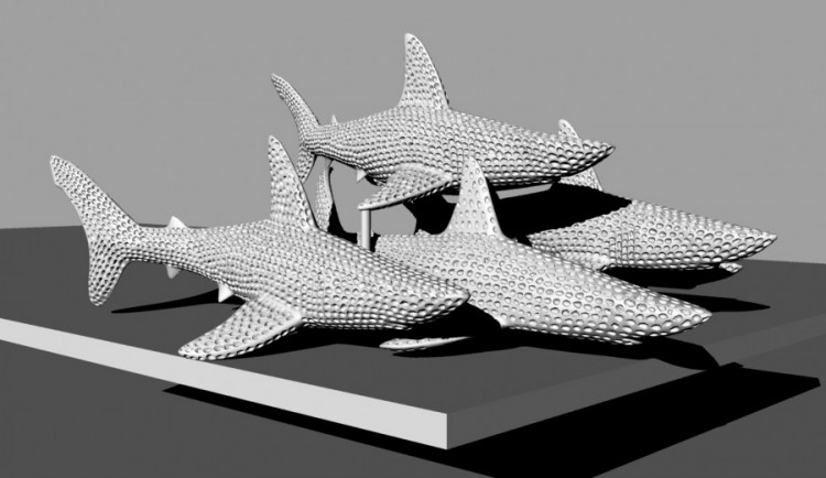 Galerie Šilingrák se opět promění. Smečku šelem nahradí hejno žraloků