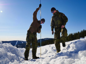 Vyhledávání zasypaného pomocí lavinové sondy v lavinovém poli.