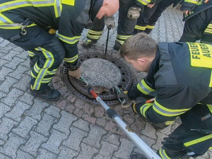 Uvízlého potkana zachránili hasiči. Zpráva obletěla svět. Lidé mu přáli ale i drastickou smrt