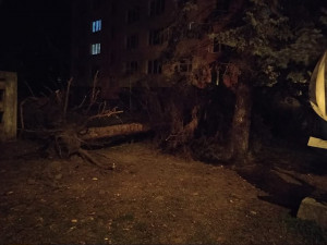 Foto: Martina Tesařová.