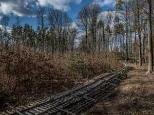 Branišák stále přichází s něčím zajímavým