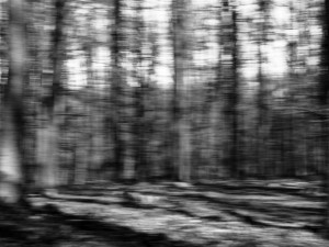 Branišák stále přichází s něčím zajímavým