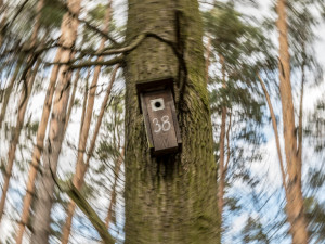 Branišák stále přichází s něčím zajímavým