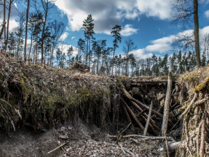 Branišák stále přichází s něčím zajímavým