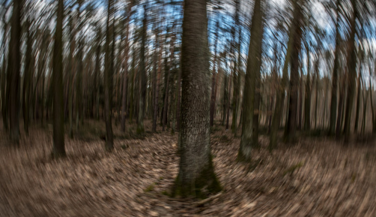 Branišák stále přichází s něčím zajímavým