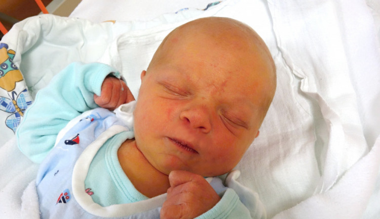 Maxmilián Dašek je vítězem lednových drbňátek.