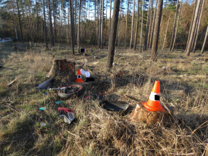 Na Jindřichohradecku narazil motorkář do stromu. Nehodu nepřežil