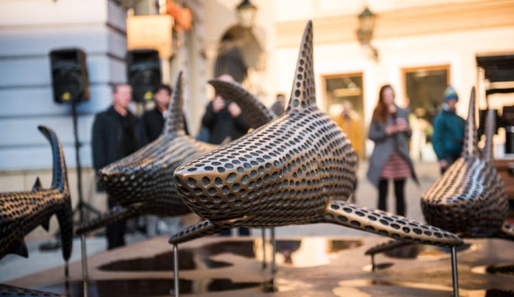 FOTOGALERIE: Smečku šelem nahradilo na Šilingráku hejno žraloků