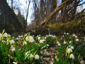 Líšenické louky za Hlubokou. Autor: Tomáš Fotím Nakaši