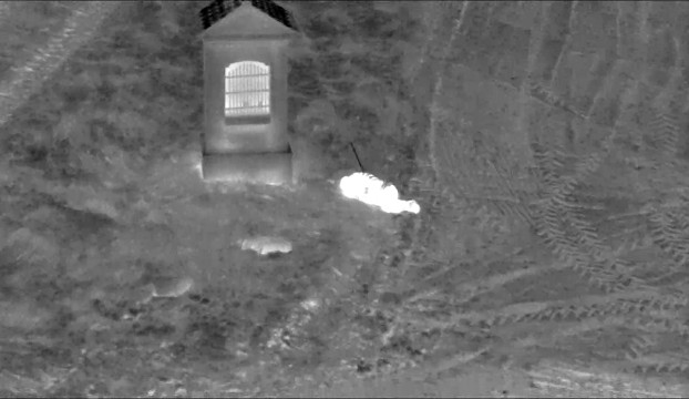 VIDEO: Senior se nevrátil z procházky. Pátraly po něm desítky policistů, našel ho vrtulník s termovizí