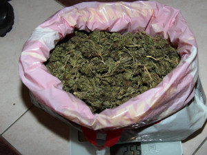 Mladý muž v Písku měl doma pěstírnu, prodával hašiš