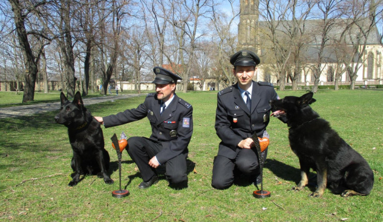 Statečné psí srdce