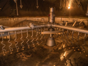 Vařit pivo může jen opravdový srdcař, říká obchodní sládek Budějovického Budvaru Aleš Dvořák