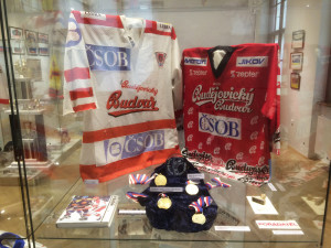 Výstava v Jihočeském muzeu