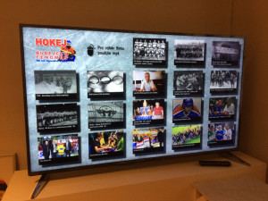 Výstava v Jihočeském muzeu