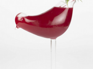 Vítězný koktejl Birdie Jana śebka (1)